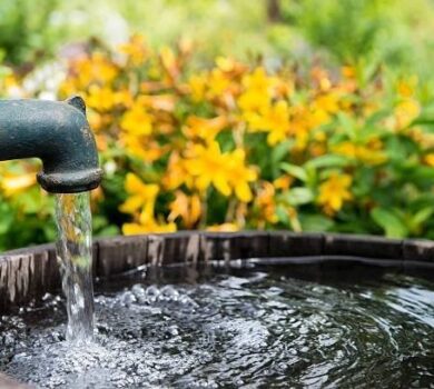 Preventive Well Maintenance